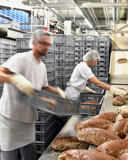Alimentos